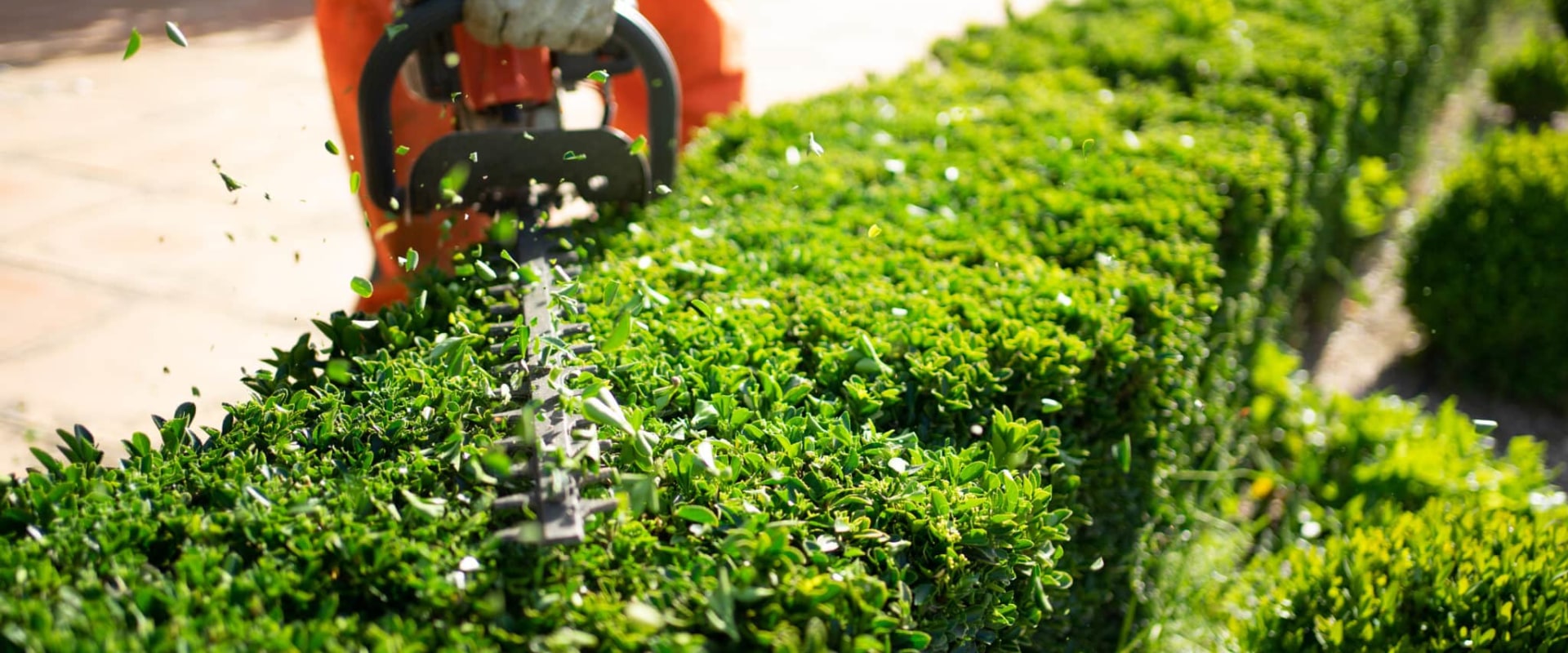 The Benefits of Seasonal Landscaping Services and Their Maintenance Plans