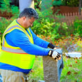 Year-Round Yard Care Starts With Seasonal Landscaping Services In Damascus, OR