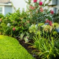 How An Irrigation Contractor Can Enhance Your Seasonal Landscaping In Greater Orlando