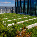 How Seasonal Landscaping Services Protect Homes From Runoff That Can Also Affect Roof Longevity