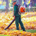 From Cleanups to Care: A Guide to Seasonal Landscaping Services