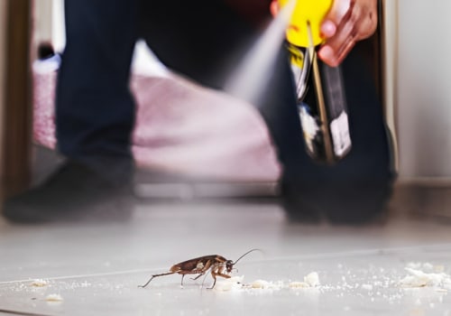 Keep Your Fayetteville Yard Beautiful And Pest-Free: The Benefits Of Combining Rodent Control With Seasonal Landscaping