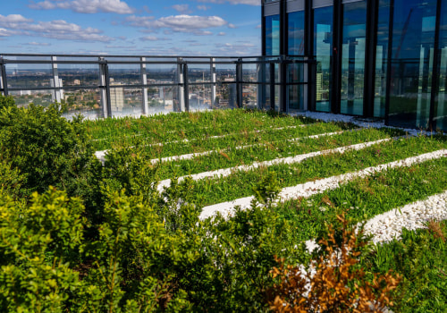 How Seasonal Landscaping Services Protect Homes From Runoff That Can Also Affect Roof Longevity