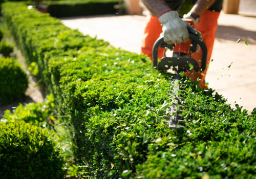 The Benefits of Seasonal Landscaping Services and Their Maintenance Plans
