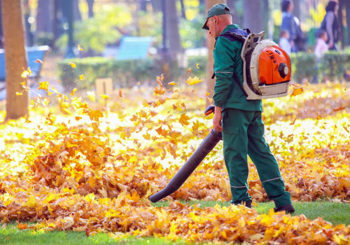 From Cleanups to Care: A Guide to Seasonal Landscaping Services